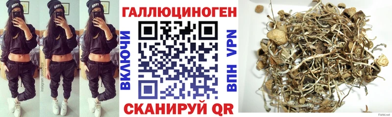 Псилоцибиновые грибы MAGIC MUSHROOMS  купить наркотик  Кубинка 