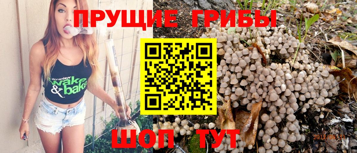 Кубинка  Псилоцибиновые грибы мицелий  Вход с VPN 